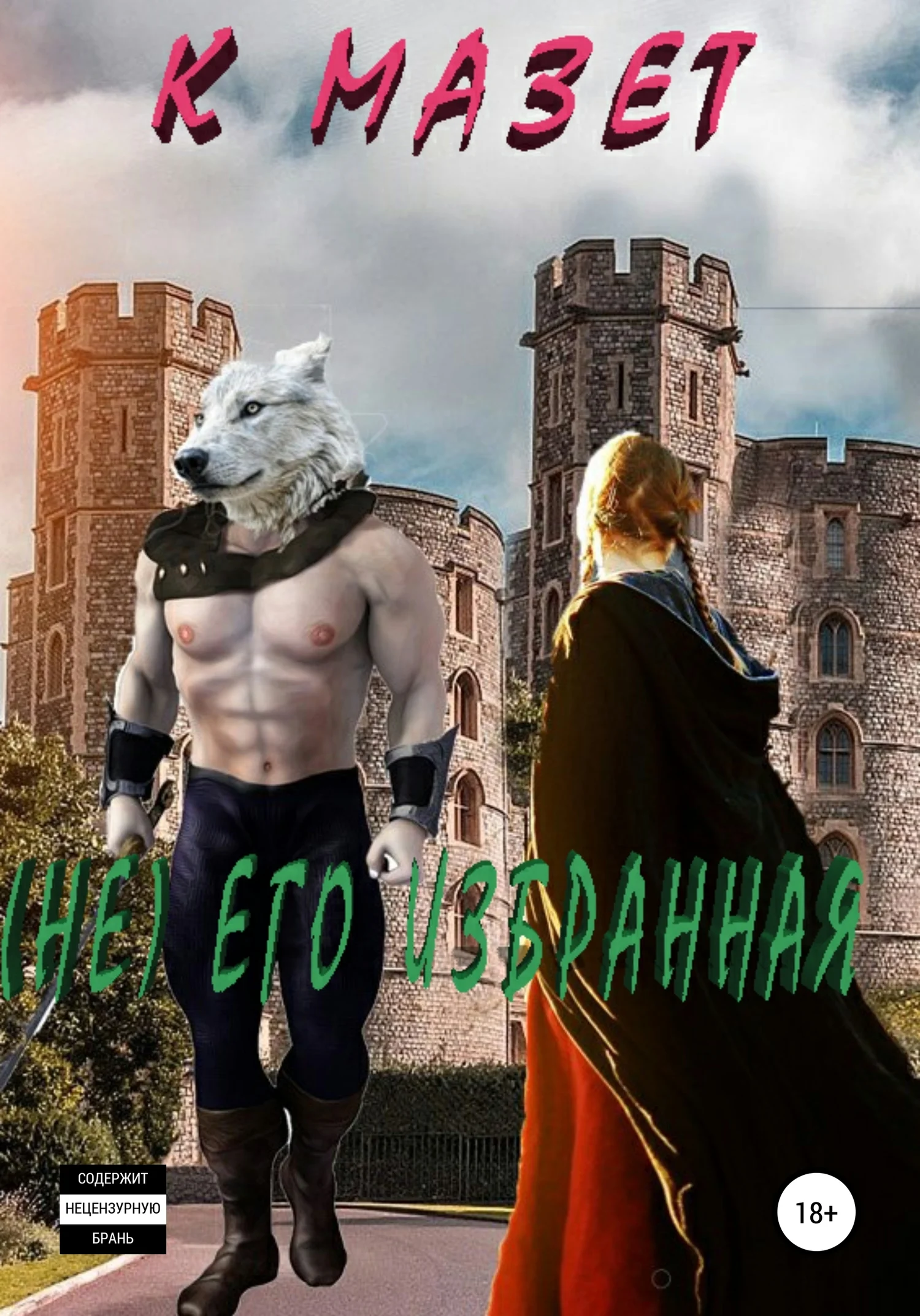 Обложка Не его избранная