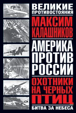 Обложка Охотники на черных птиц