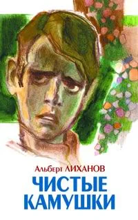 Обложка Чистые камушки