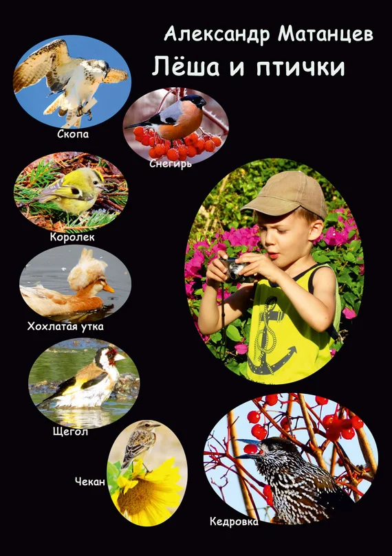 Обложка Лёша и птички