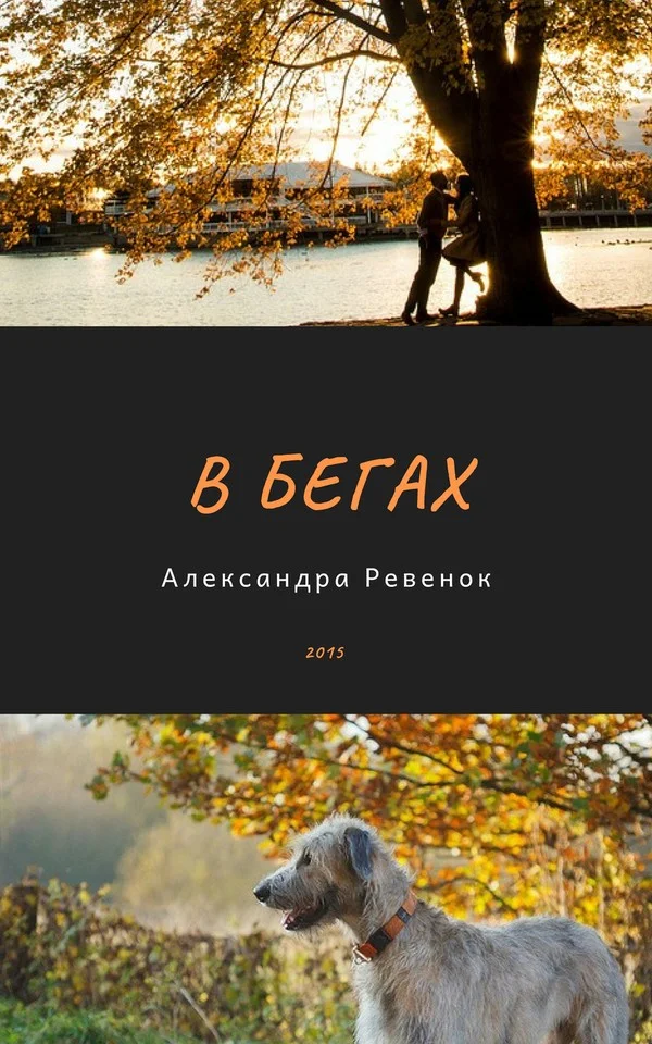 Обложка В бегах (СИ)