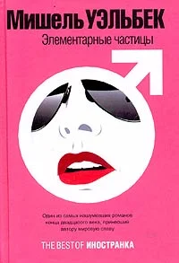 Обложка Элементарные частицы