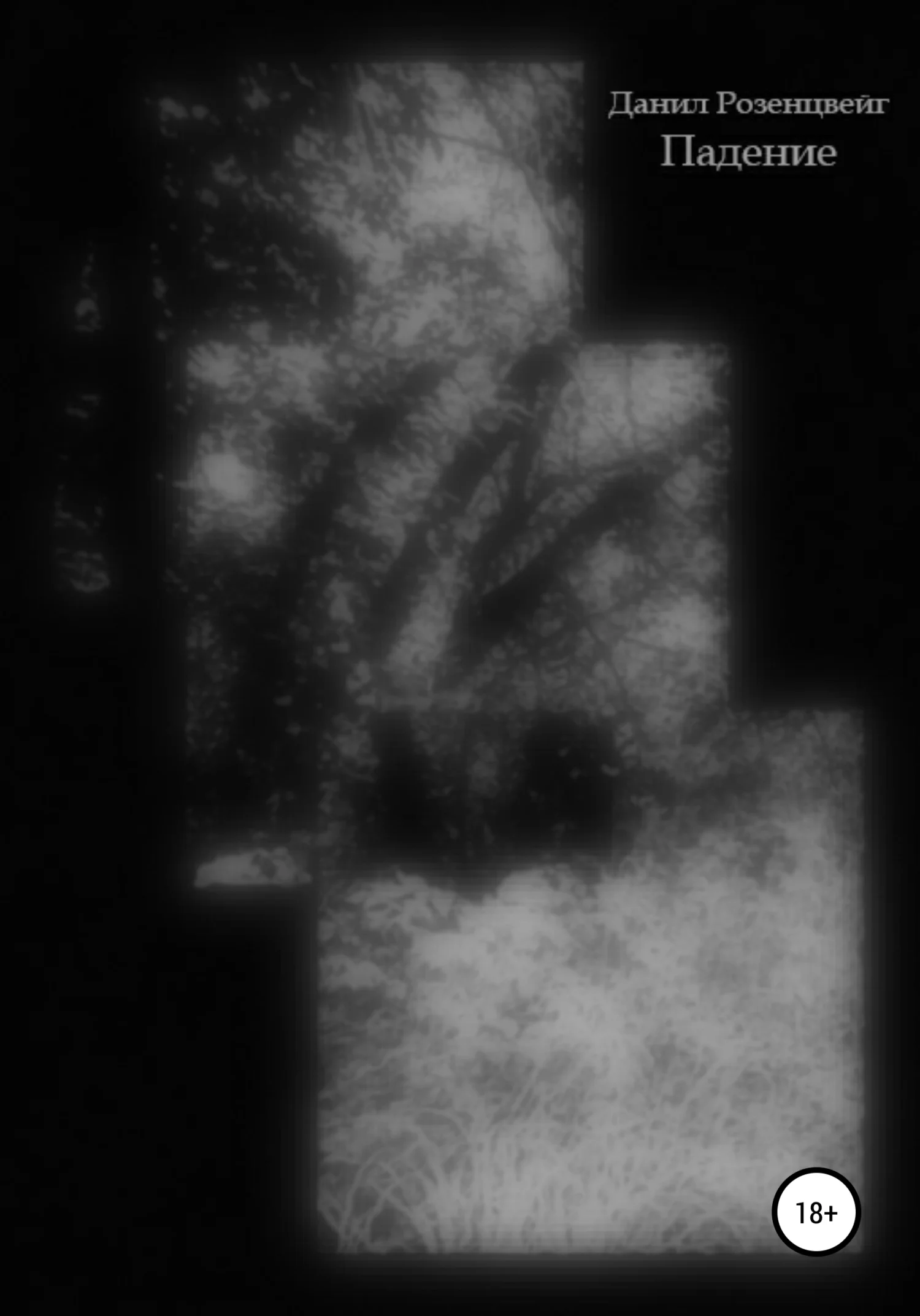 Обложка Падение