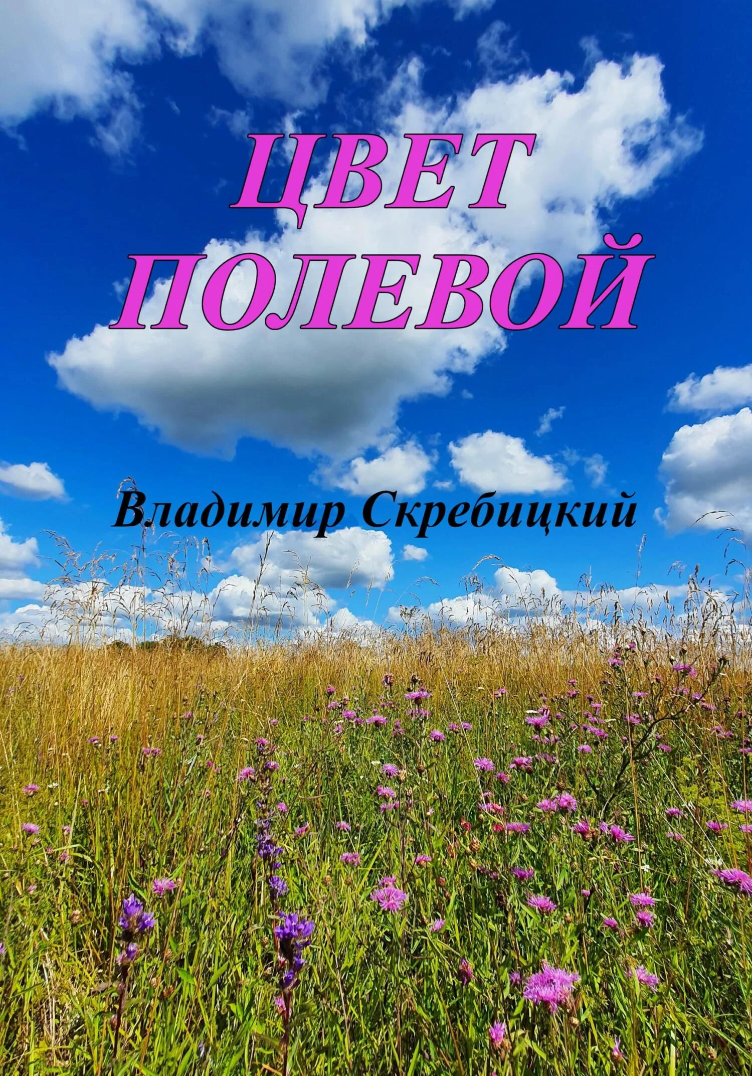 Обложка Цвет полевой