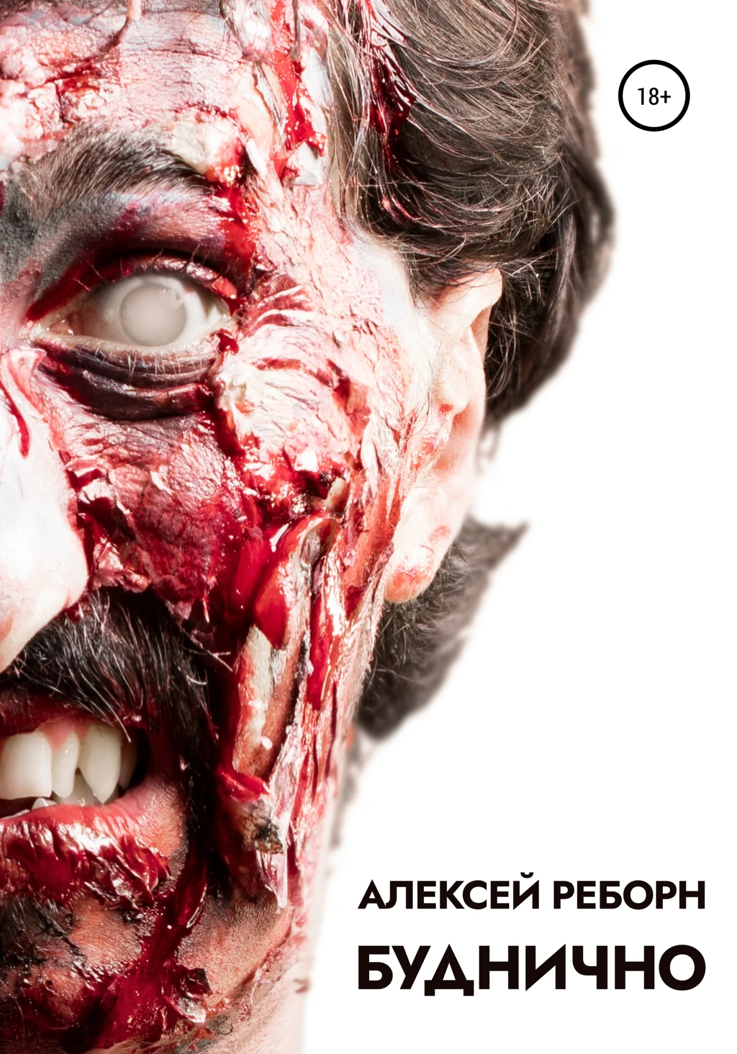 Обложка Буднично