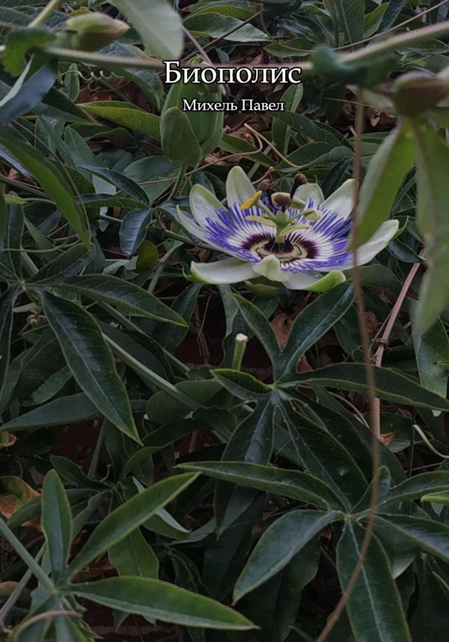 Обложка Биополис