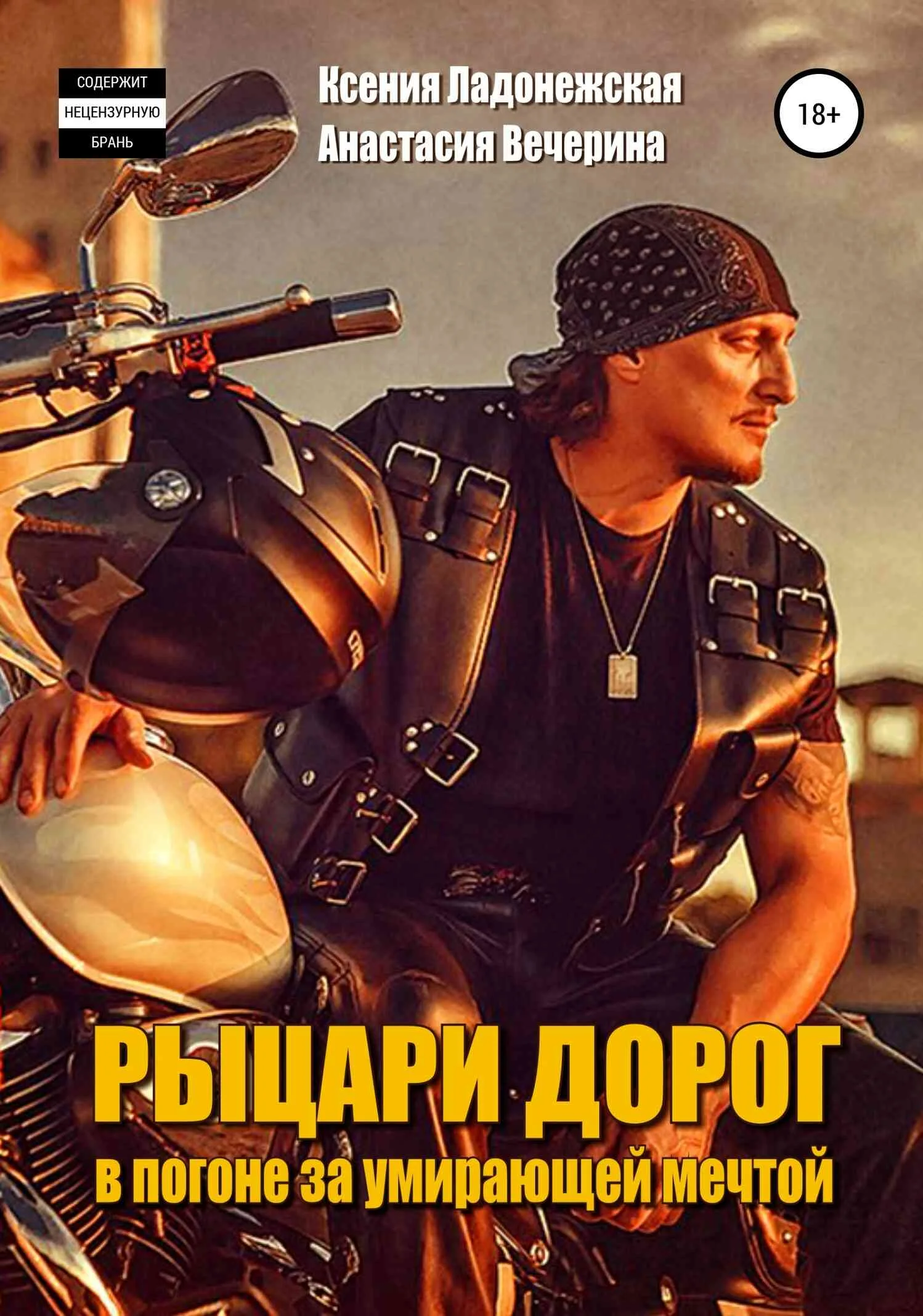 Обложка Рыцари дорог: в погоне за умирающей мечтой