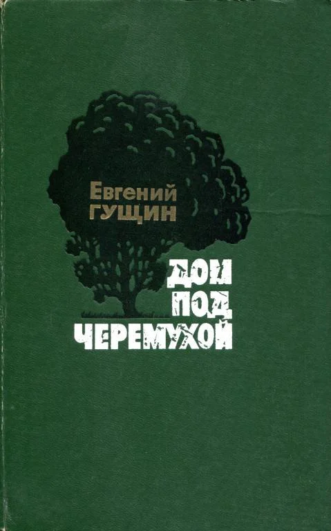 Обложка Дом под черемухой