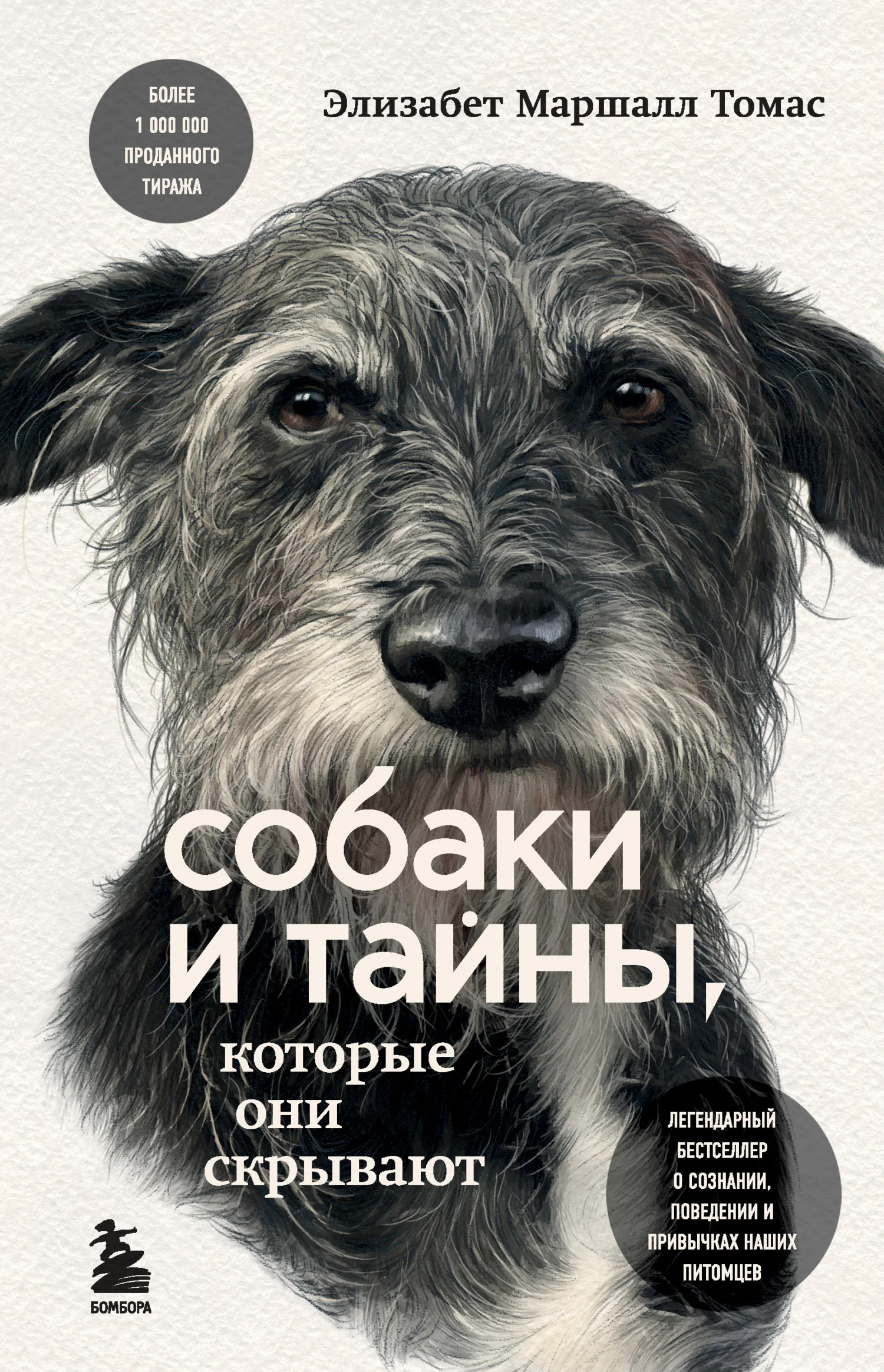 Обложка Собаки и тайны, которые они скрывают