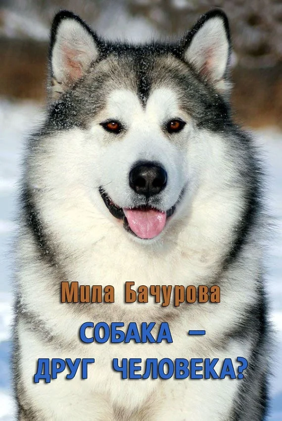 Обложка Собака — друг человека?