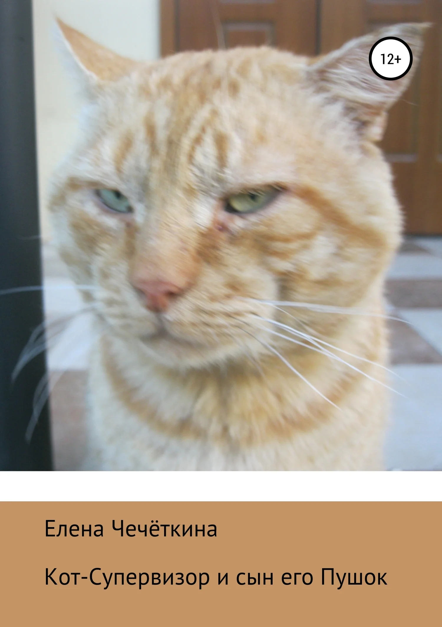 Обложка Кот-Супервизор и сын его Пушок