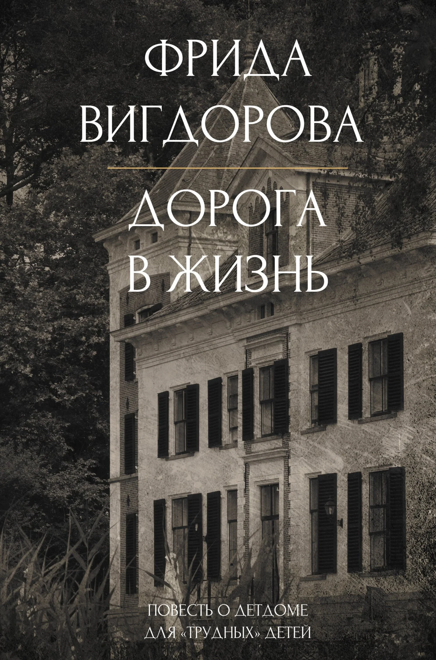 Обложка Дорога в жизнь