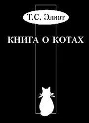 Обложка Учебник Старого Опоссума по котоведению