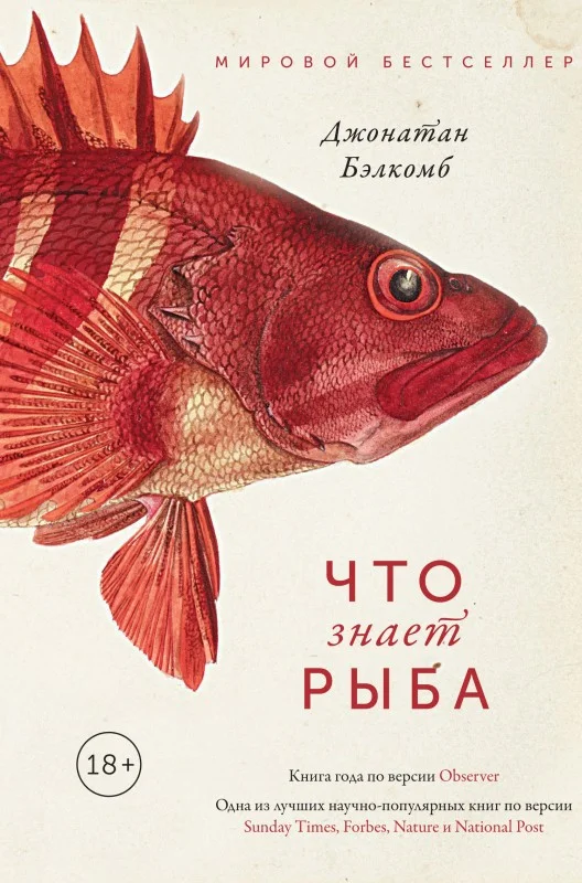 Обложка Что знает рыба
