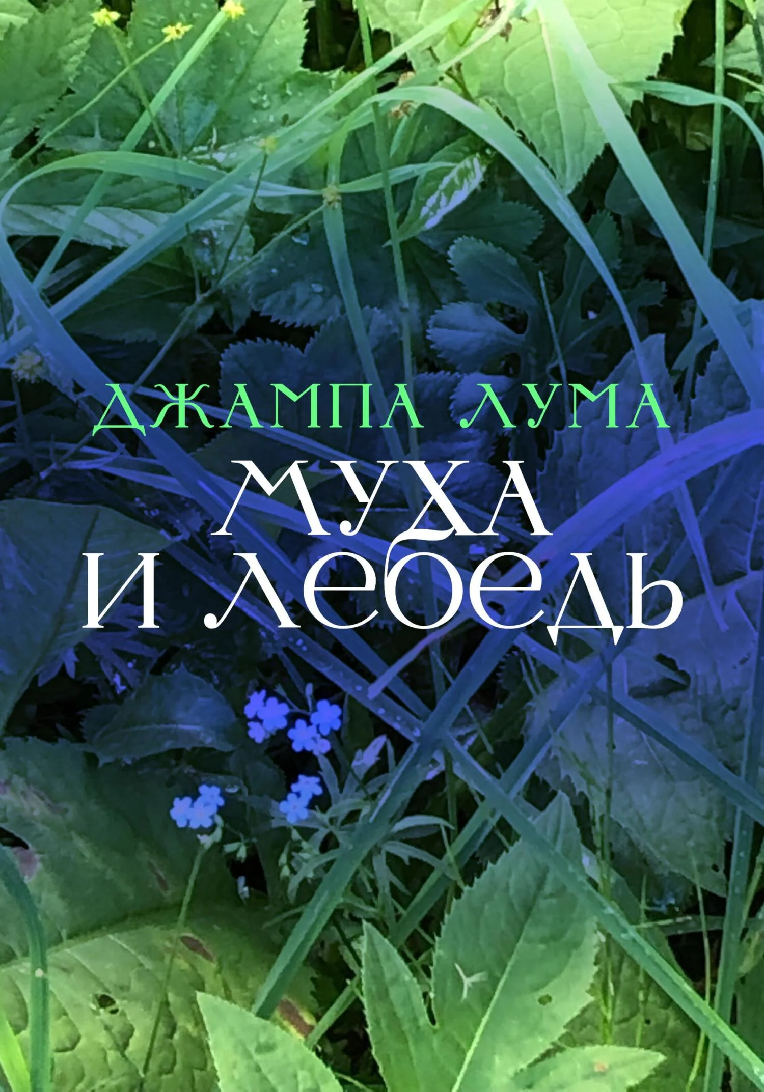 Обложка Муха и Лебедь
