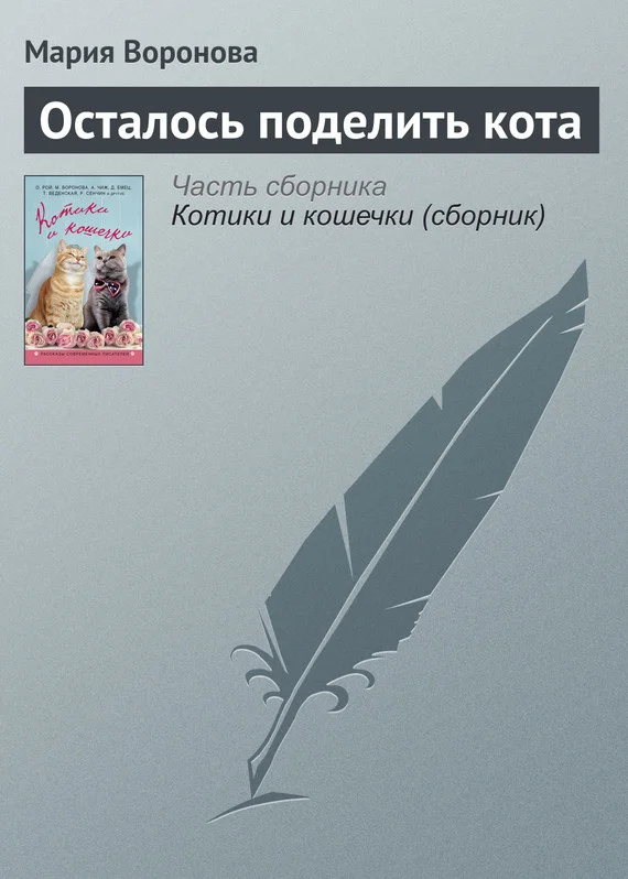 Обложка Осталось поделить кота