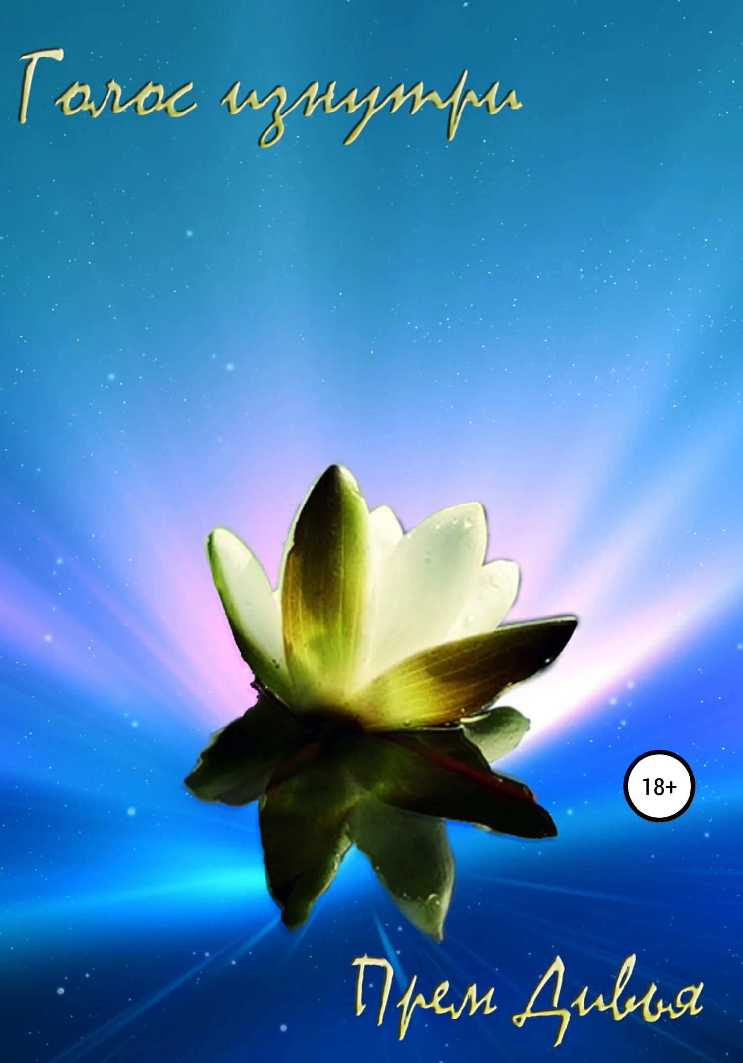 Обложка Голос изнутри