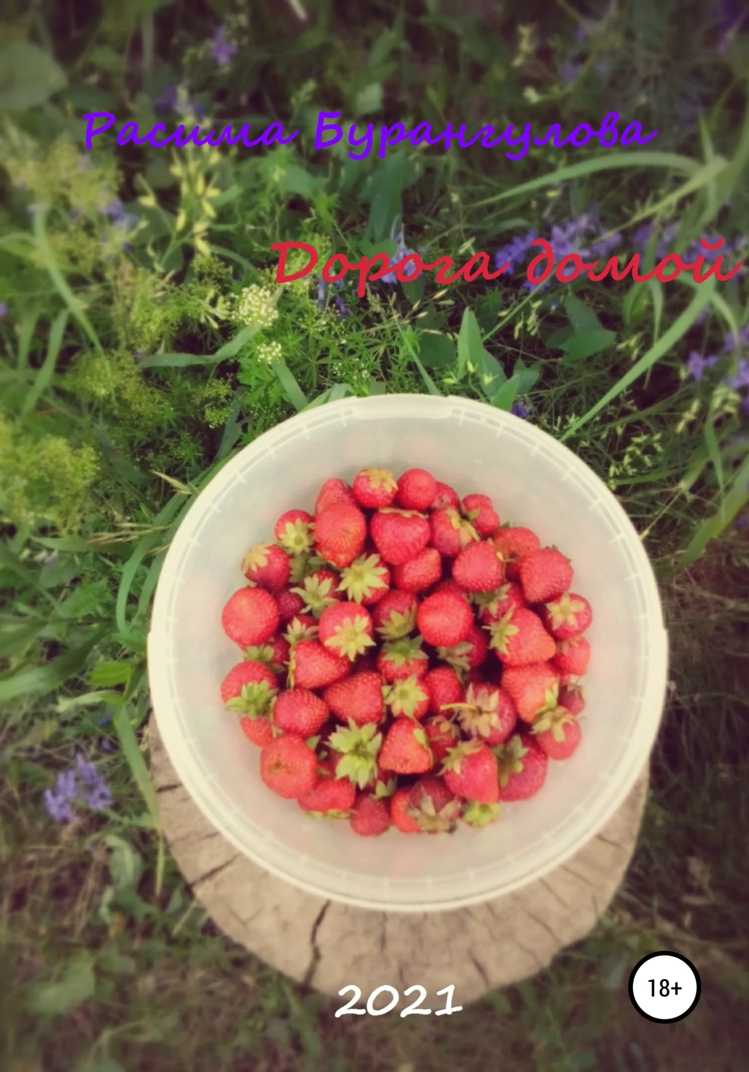 Обложка Дорога домой