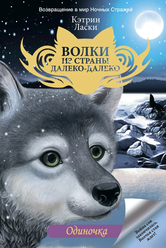 Обложка Одиночка