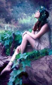 Обложка Эльфийка