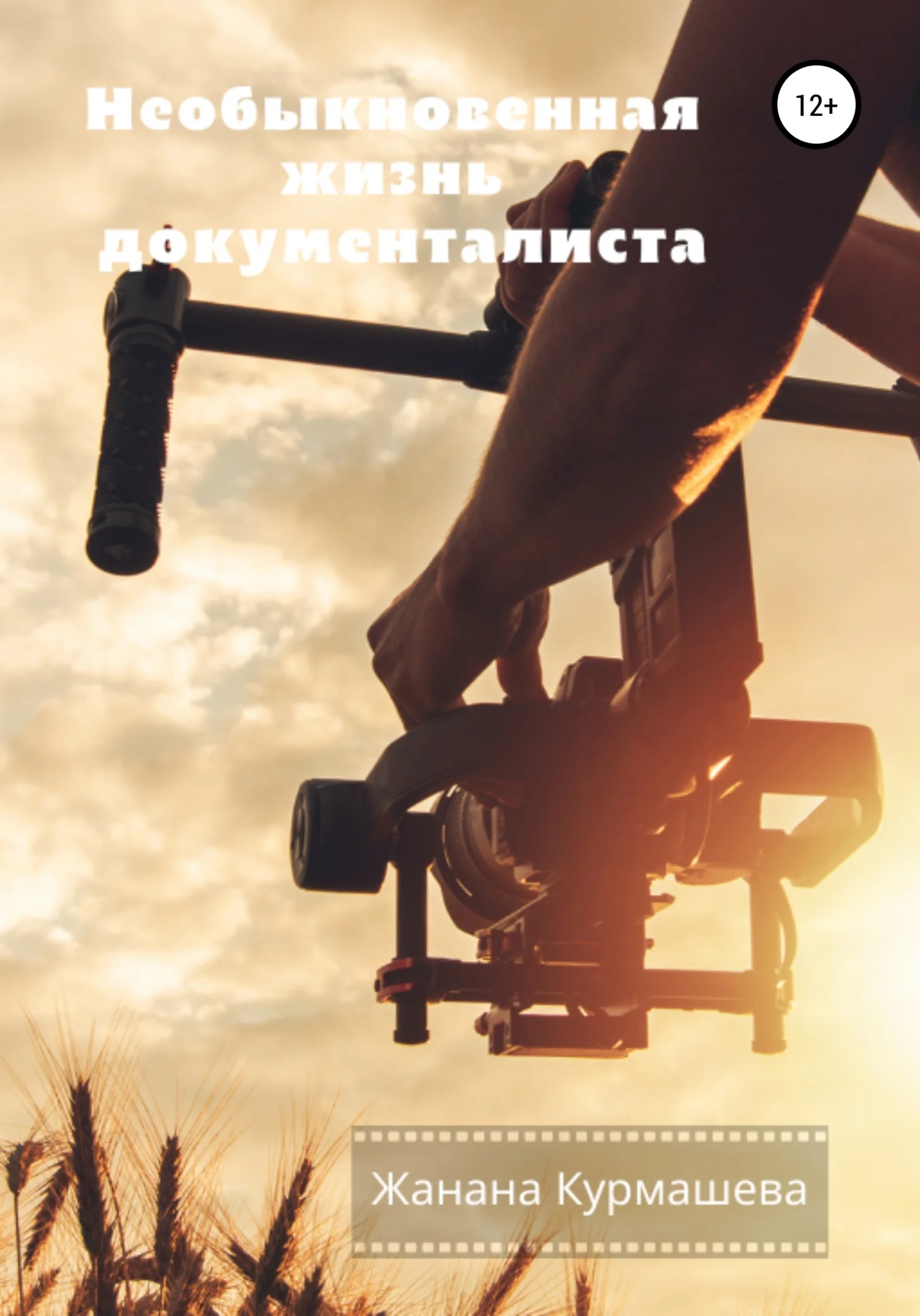 Обложка Необыкновенная жизнь документалиста