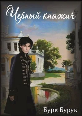 Обложка Чёрный княжич