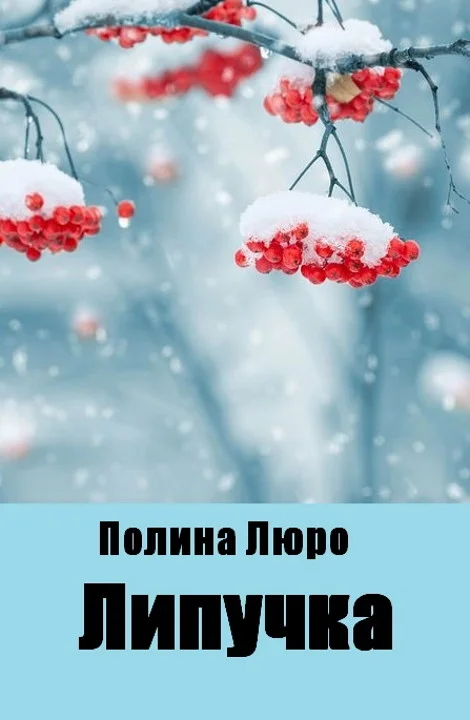 Обложка Липучка