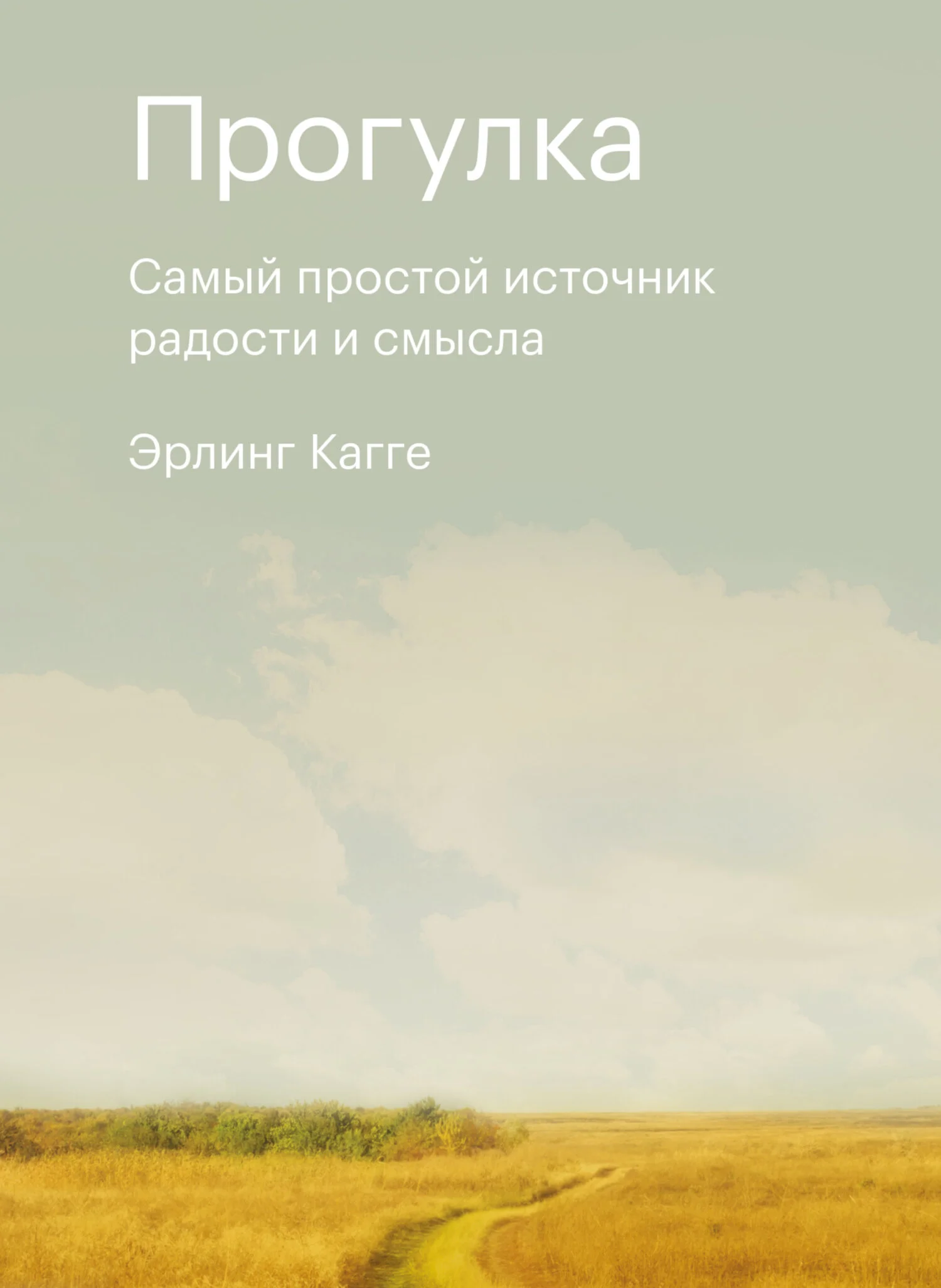 Обложка Прогулка. Самый простой источник радости и смысла