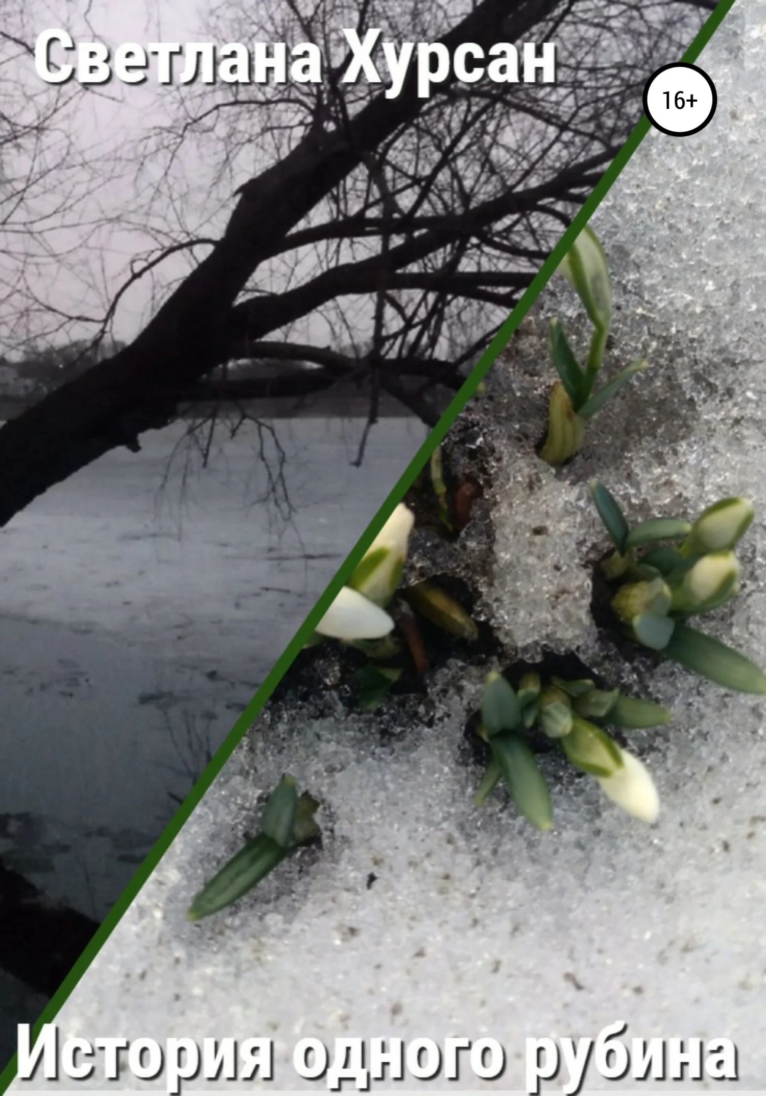 Обложка История одного рубина