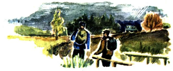 Обложка Березы в ноябре