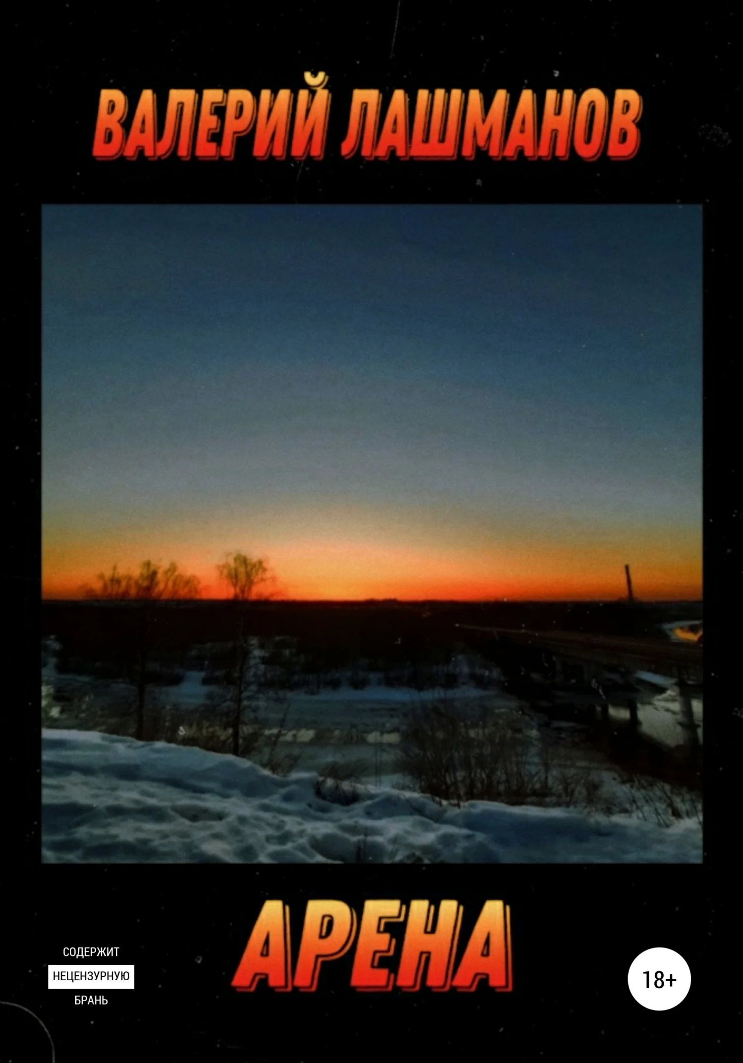 Обложка Арена