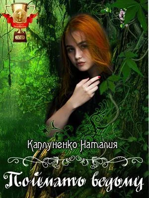 Обложка Поймать ведьму