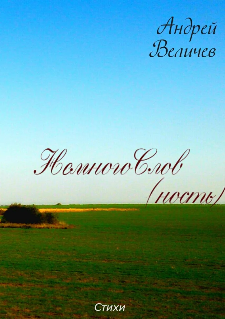 Обложка НемногоСлов (ность)