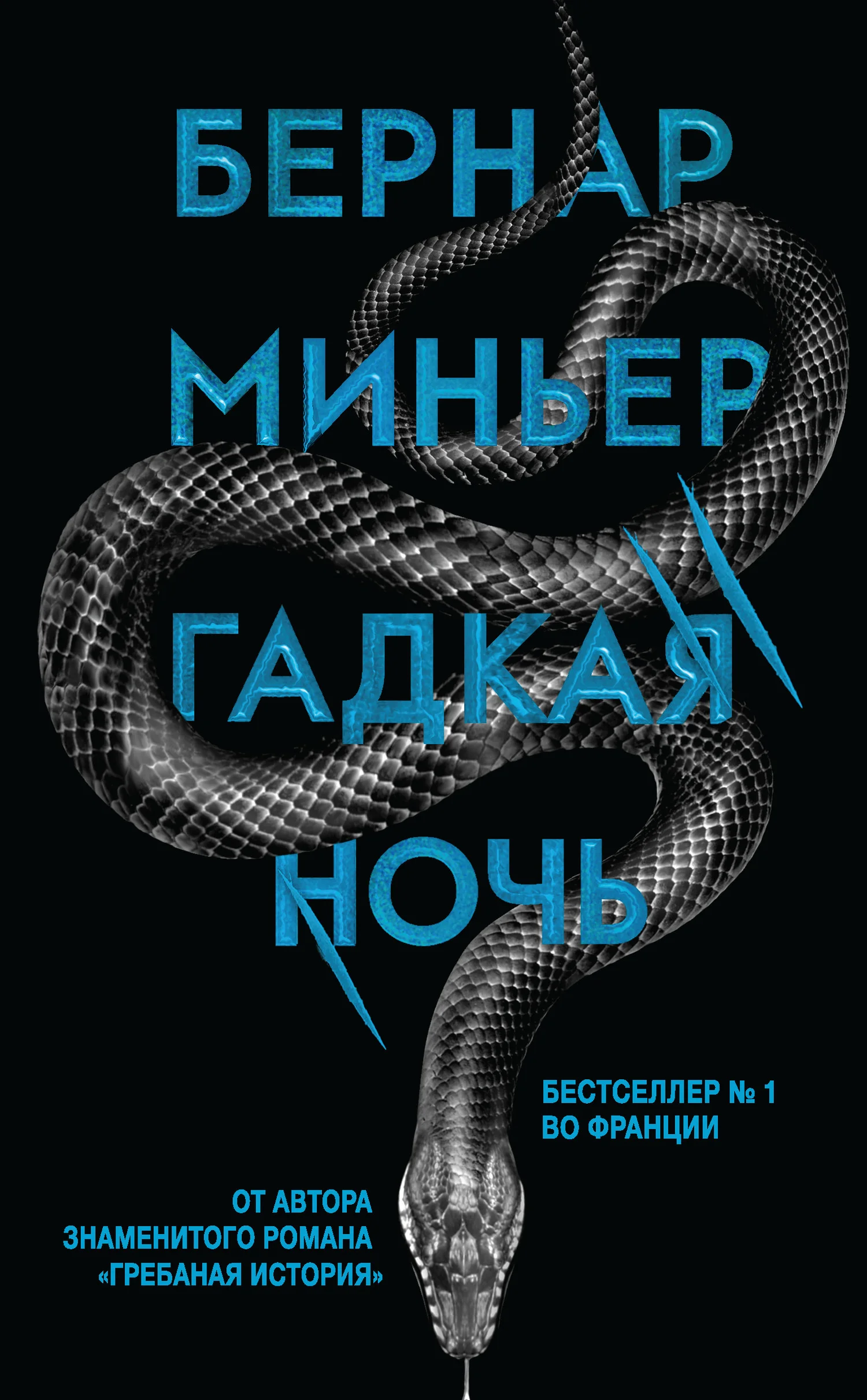 Обложка Гадкая ночь