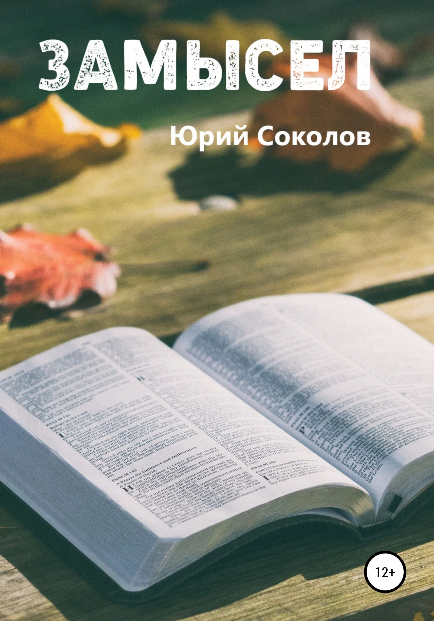 Обложка Замысел
