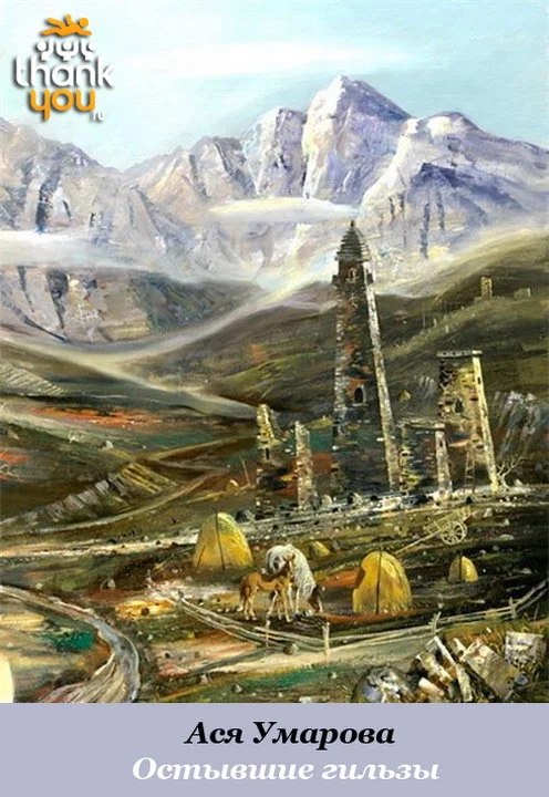 Обложка Остывшие гильзы