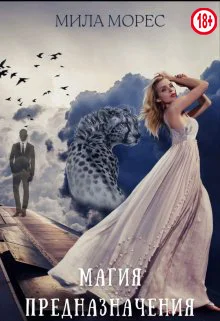 Обложка Магия предназначения