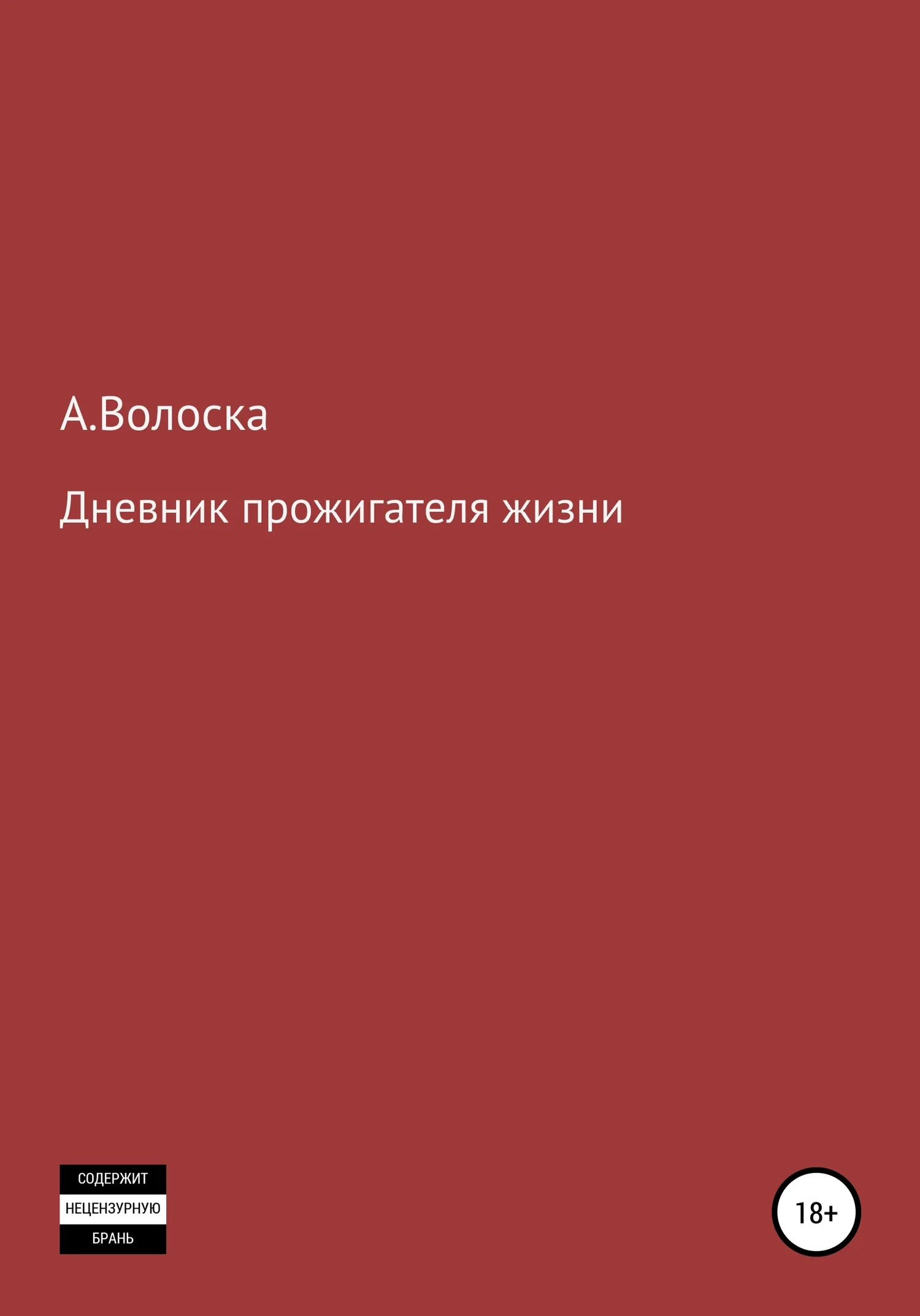 Обложка Дневник прожигателя жизни
