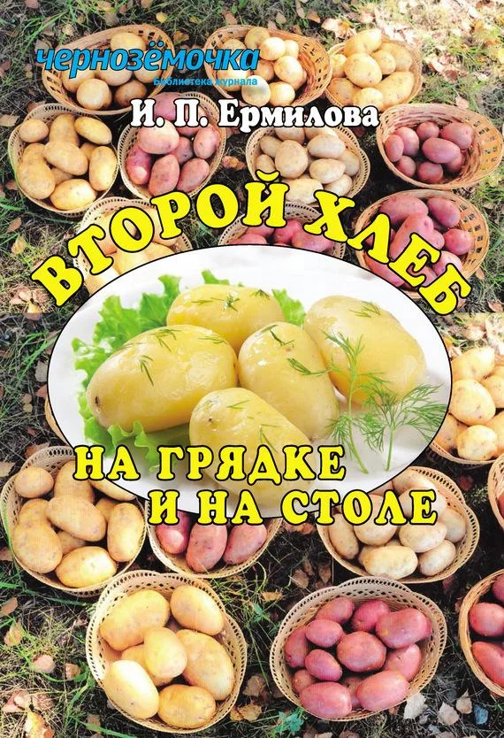 Обложка Второй хлеб на грядке и на столе