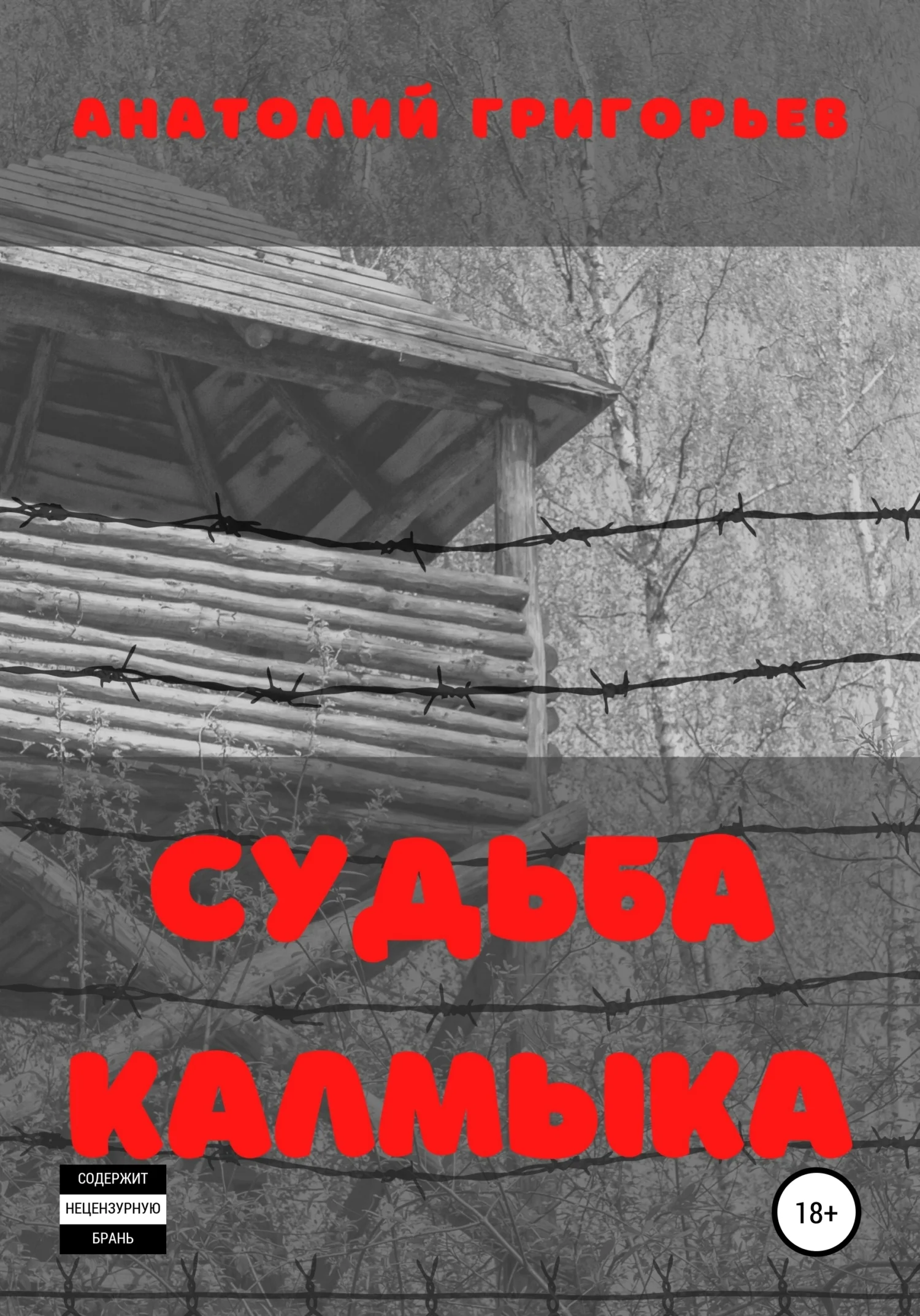 Обложка Судьба калмыка