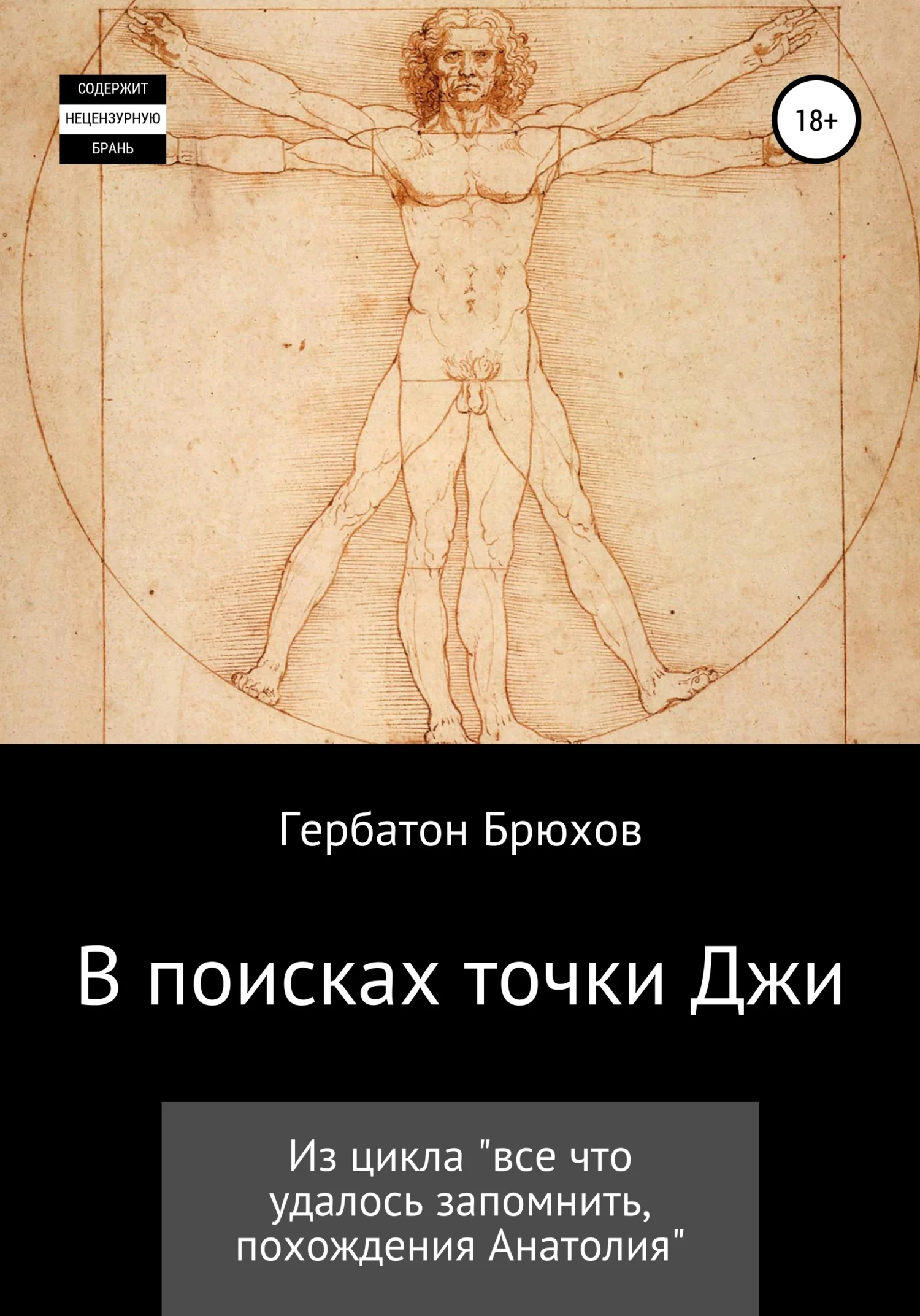 Обложка В поисках точки Джи