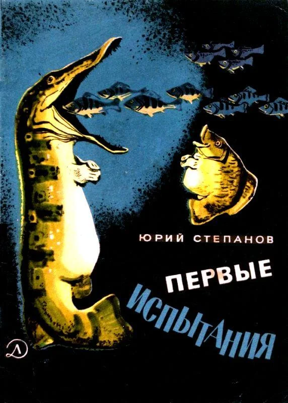 Обложка Первые испытания