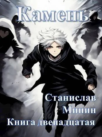 Обложка Камень. Книга 12