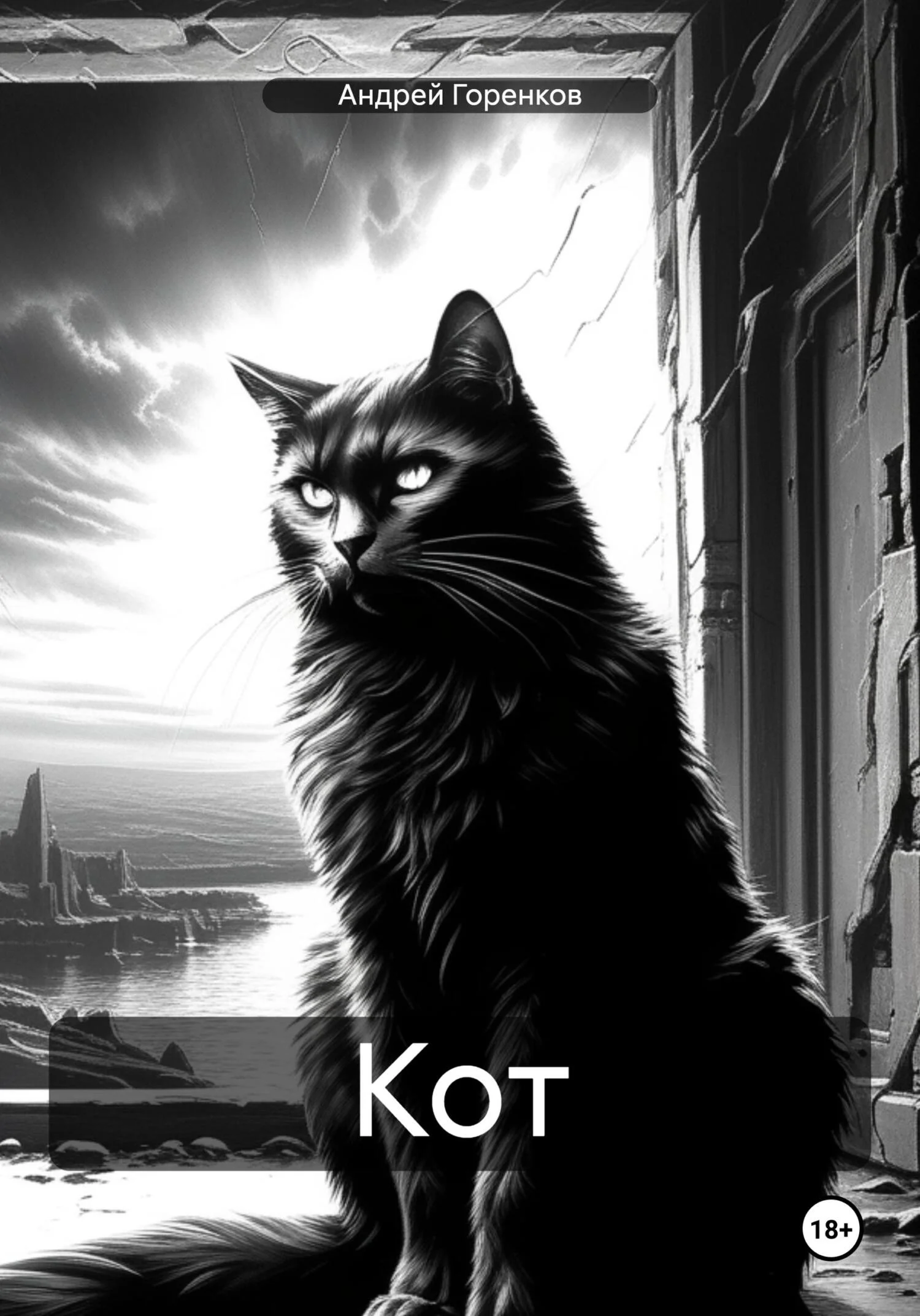 Обложка Кот