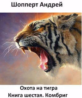 Обложка Комбриг