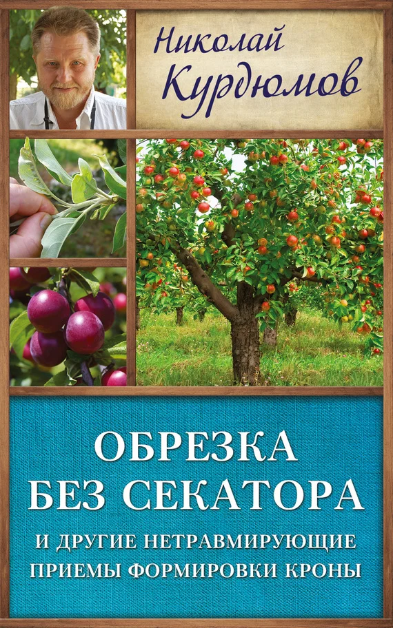 Обложка Обрезка без секатора и другие нетравмирующие приемы формировки кроны
