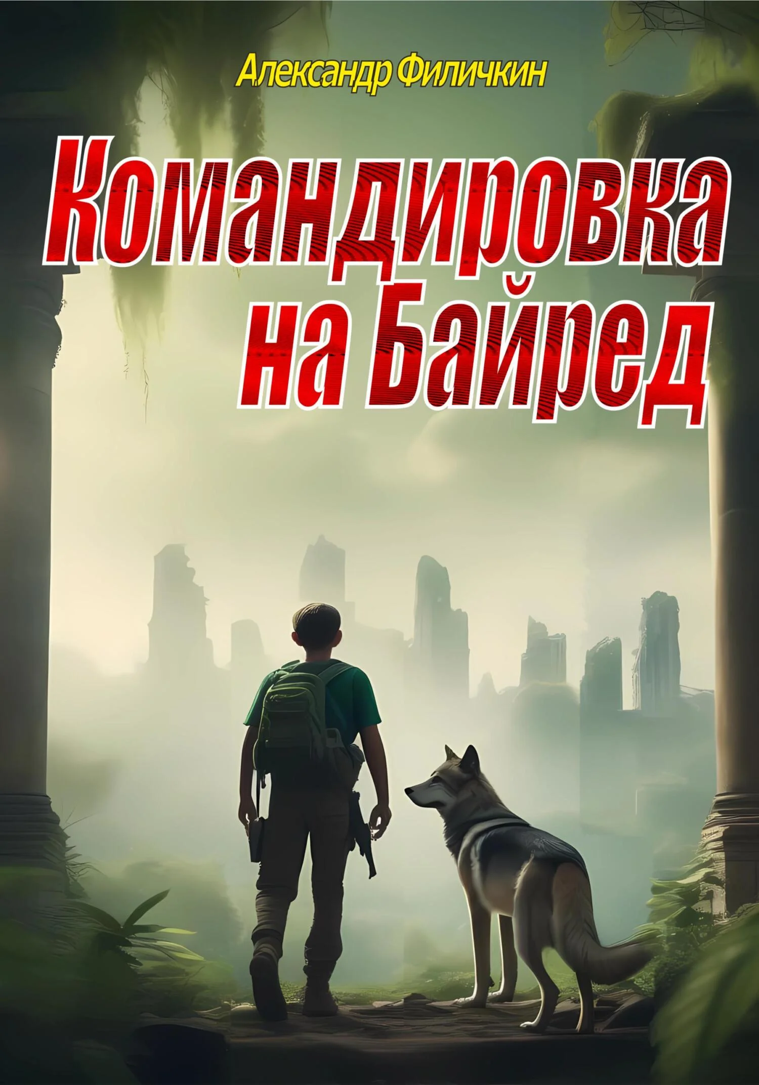 Обложка Командировка на Байред