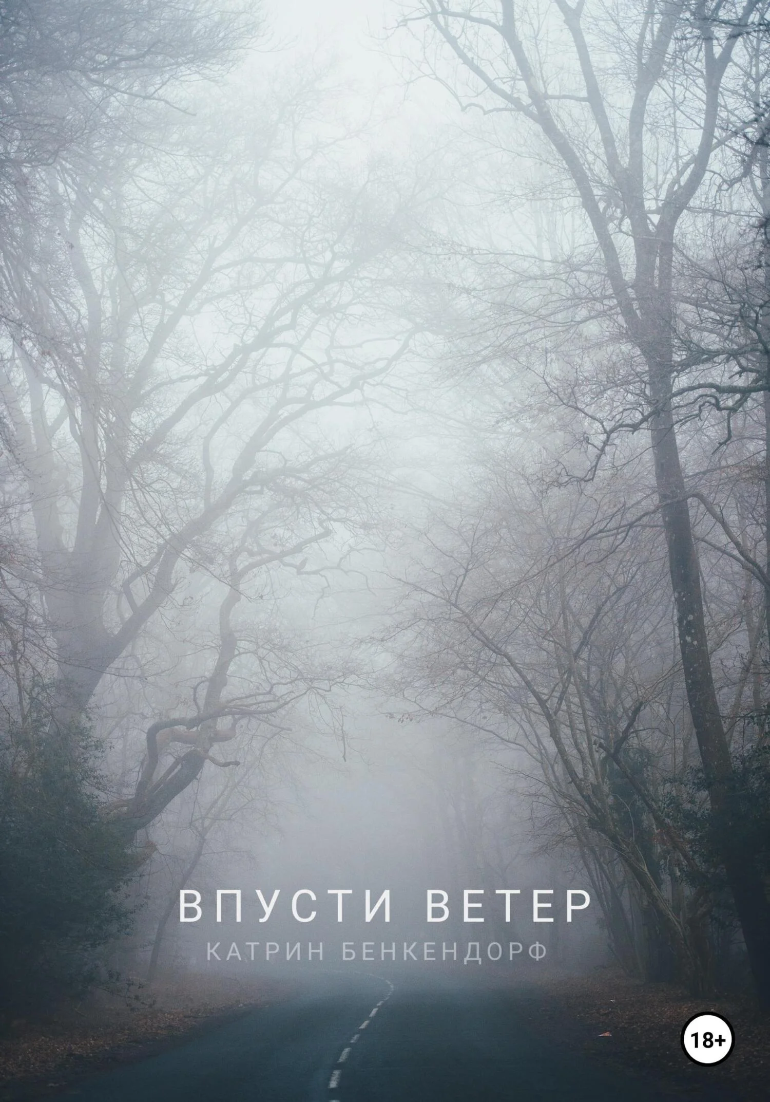 Обложка Впусти ветер