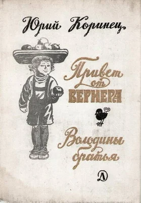 Обложка Володины братья