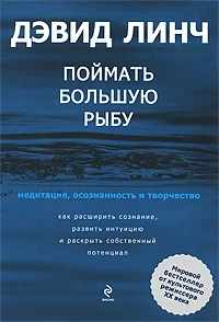 Обложка Поймать большую рыбу. Медитация, осознанность и творчество